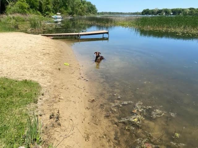 Amazing Lakefront Retreat On Long Lake! Home Portage Esterno foto